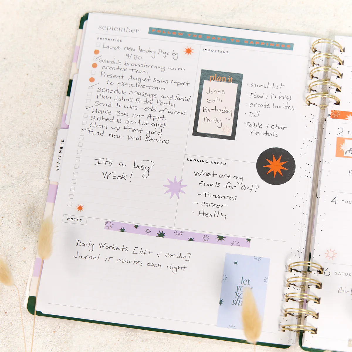 2025–2026 Soft Pop Customizable Spiral Planner - Big Dashboard Layout - 12 Months - Image 6