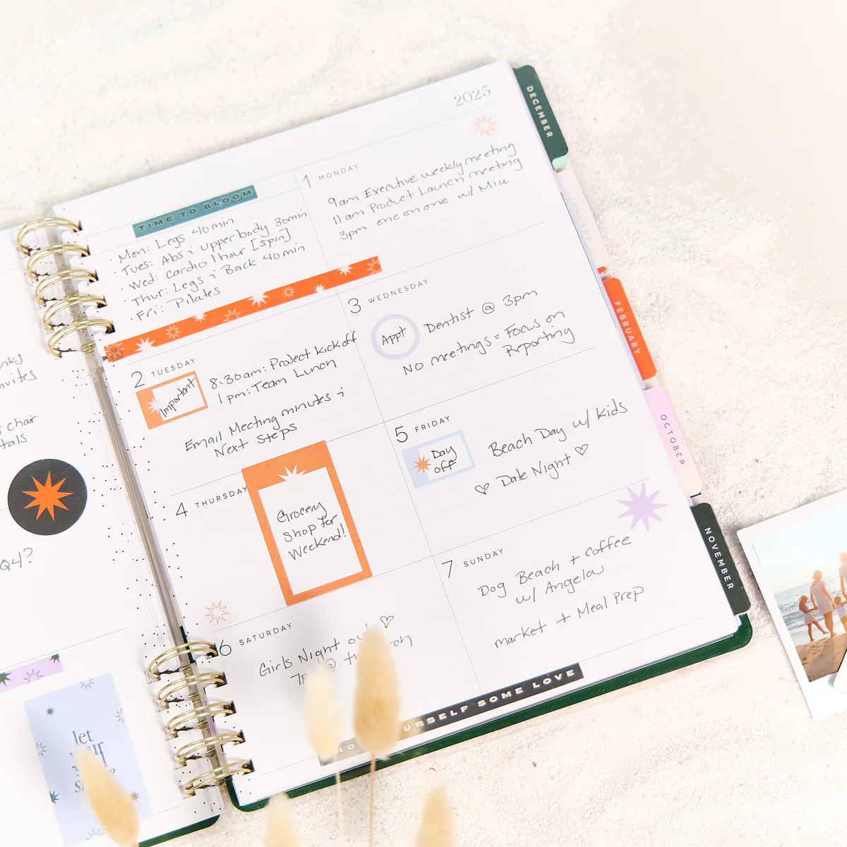 2025–2026 Soft Pop Customizable Spiral Planner - Big Dashboard Layout - 12 Months - Image 7