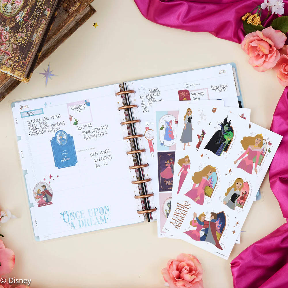 Disney Sleeping Beauty 65th Anniversary - Value Pack Stickers - Image 2