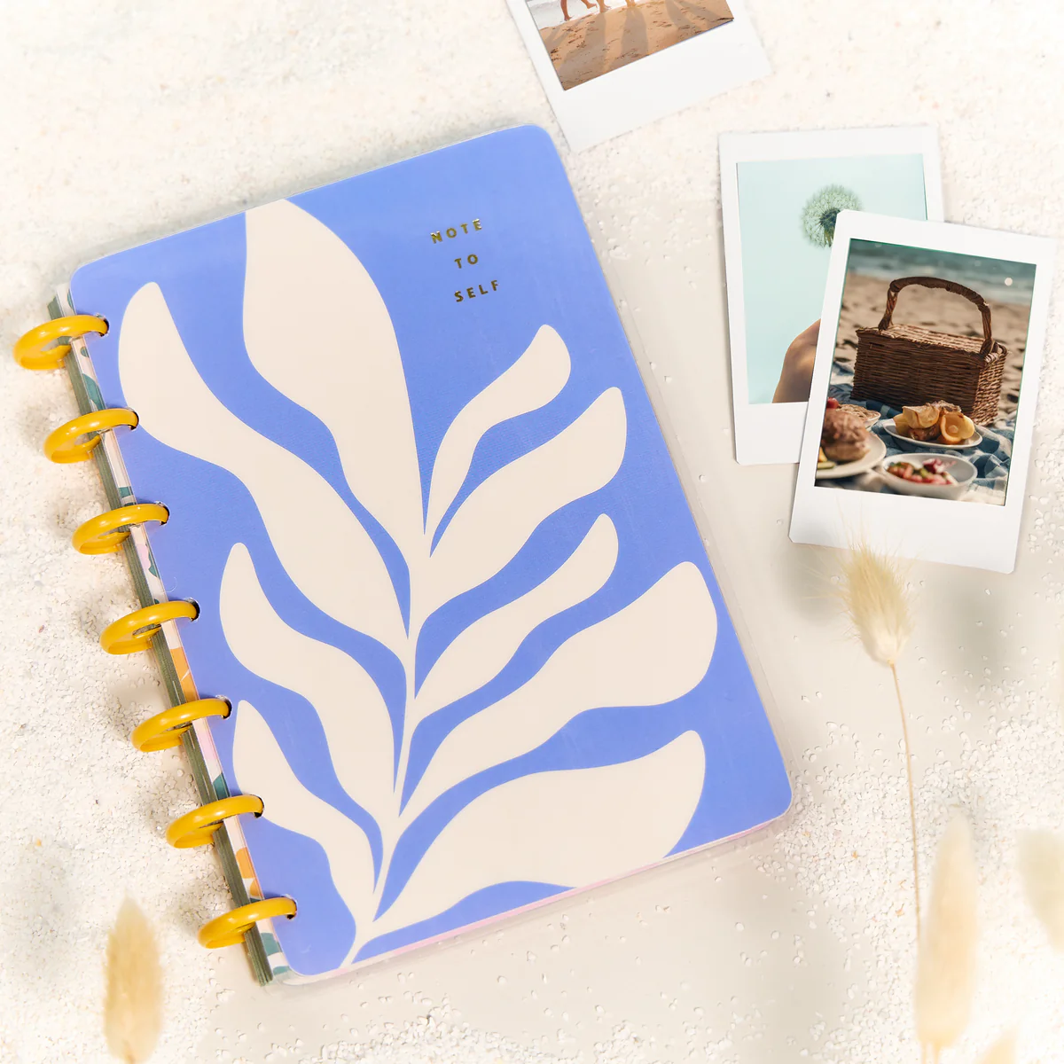 In the Moment - Dotted Lined Mini Notebook - 60 Sheets - Image 16