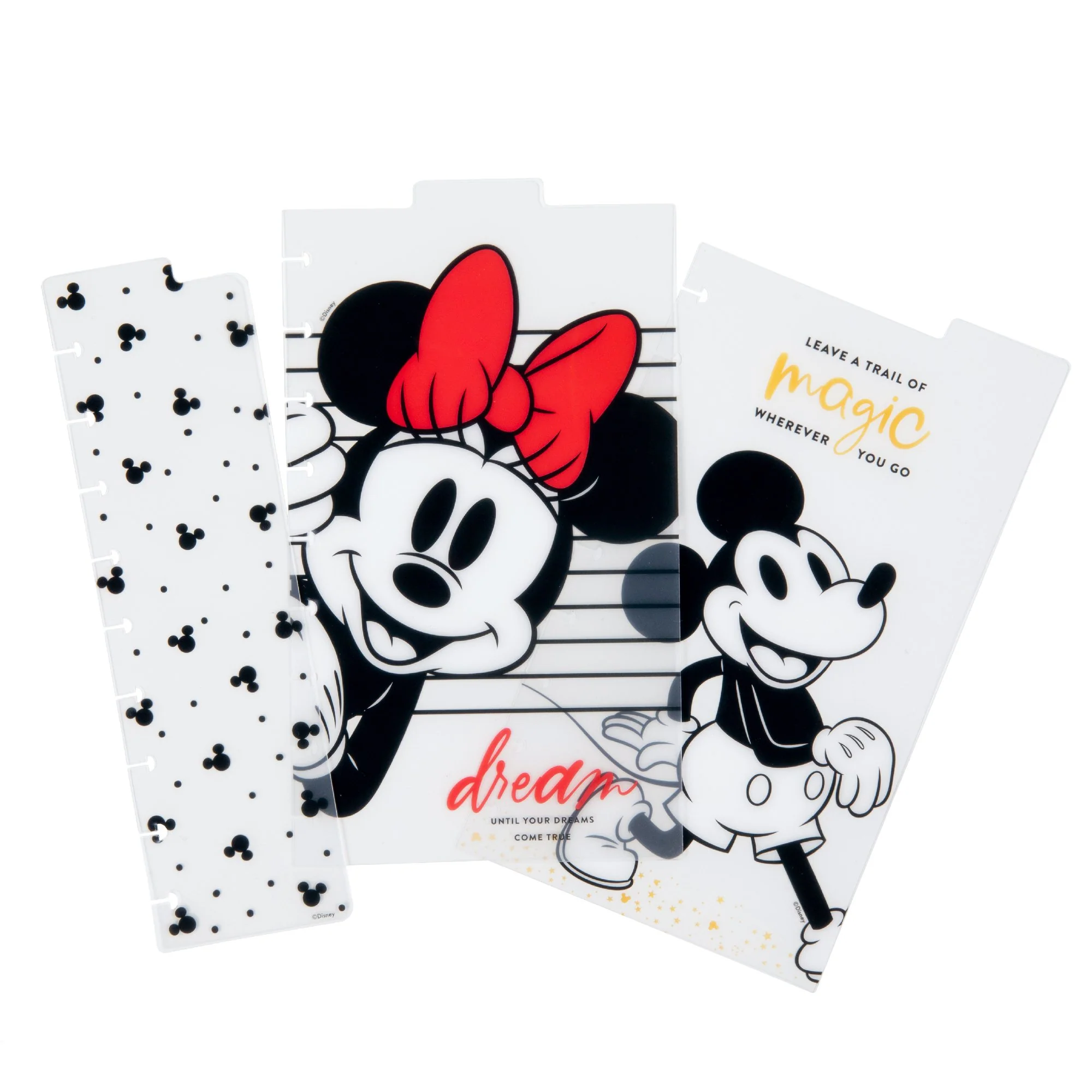 Mickey and Minnie Classic Dashboards - Dreams Come True