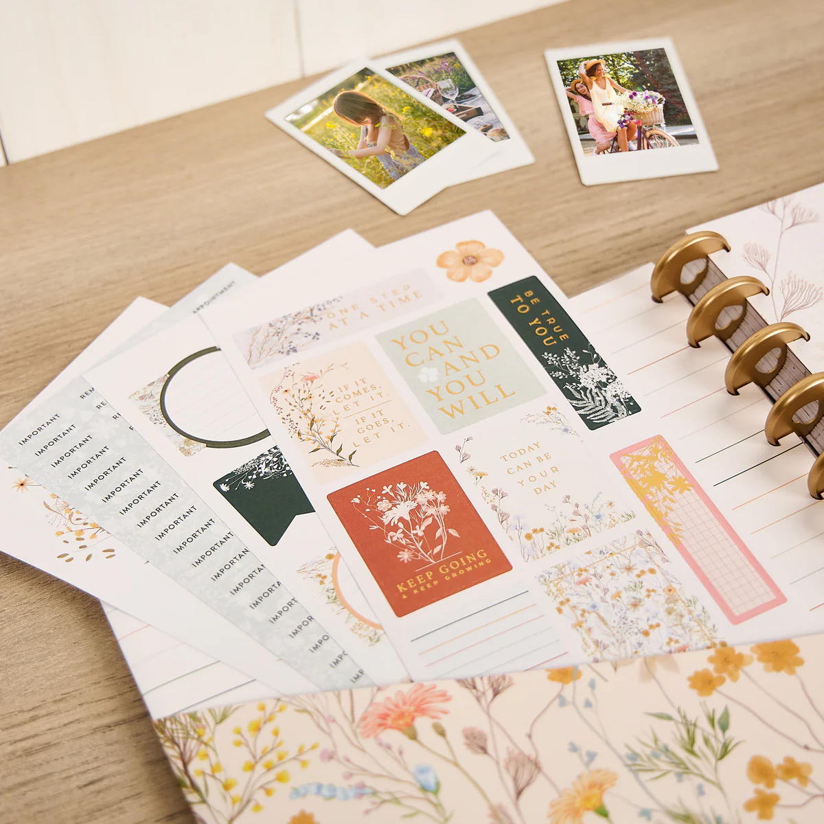 Spring Fields - Big Accessory Pack - Image 14