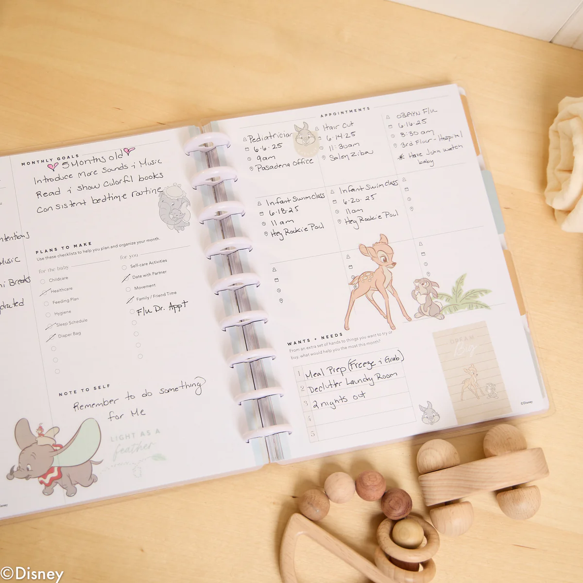Undated Disney Welcome Little One Customizable Baby Planner - Classic Baby's First Year Layout - 12 Months - Image 18