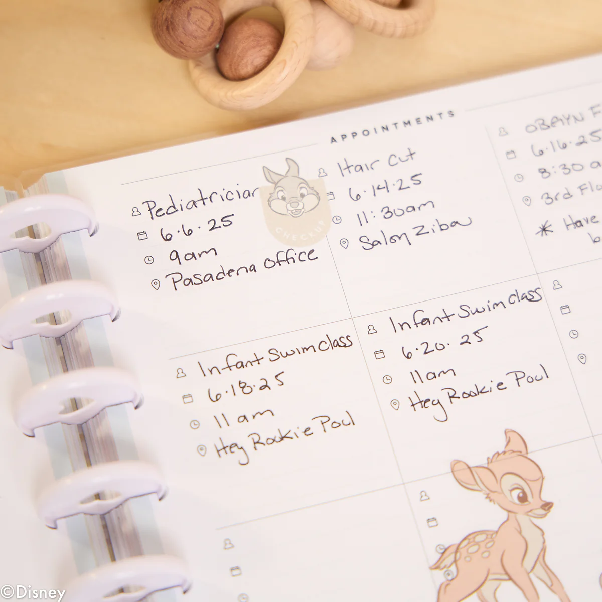 Undated Disney Welcome Little One Customizable Baby Planner - Classic Baby's First Year Layout - 12 Months - Image 23