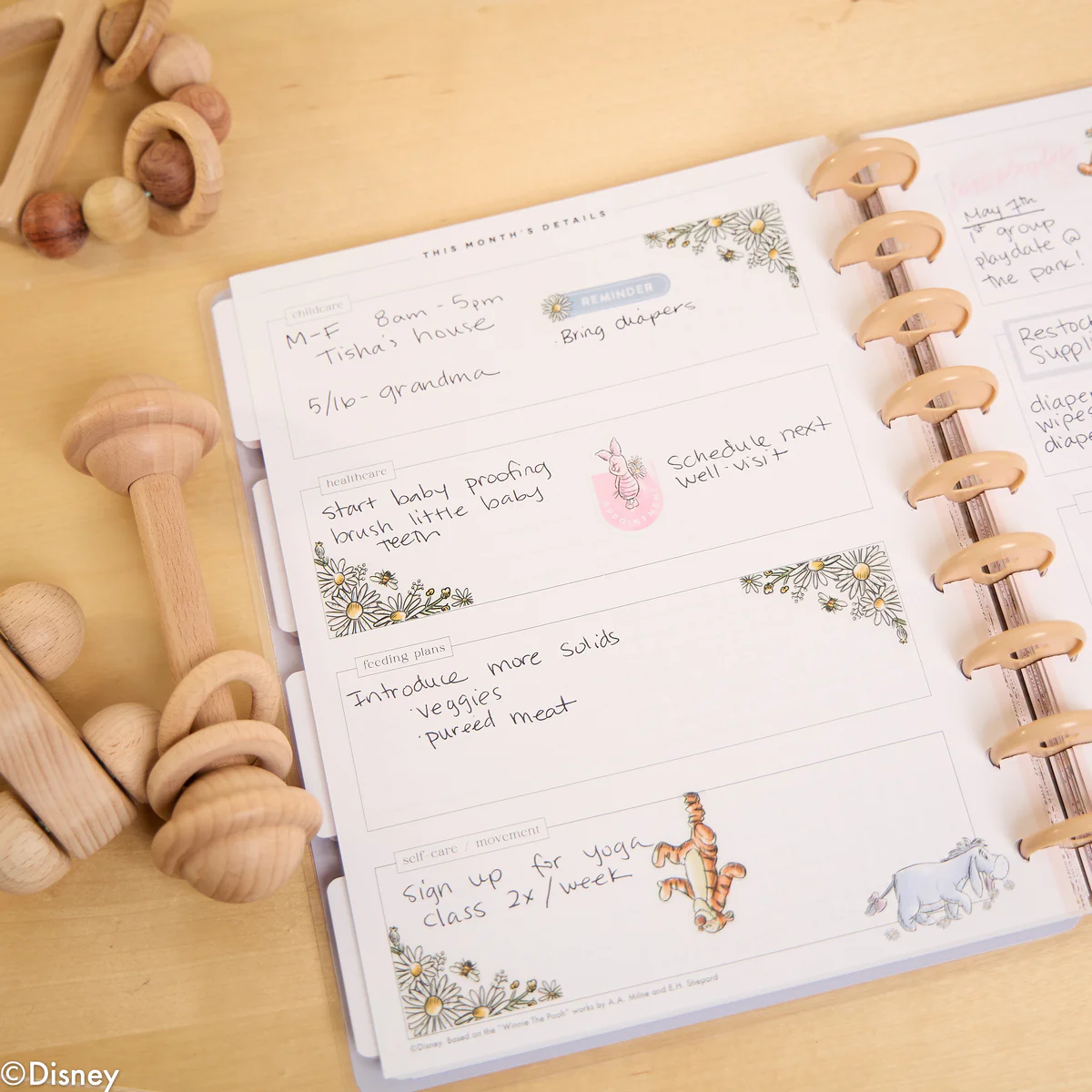 Undated Disney Winnie the Pooh Customizable Baby Planner - Classic Baby's First Year Layout - 12 Months - Image 10