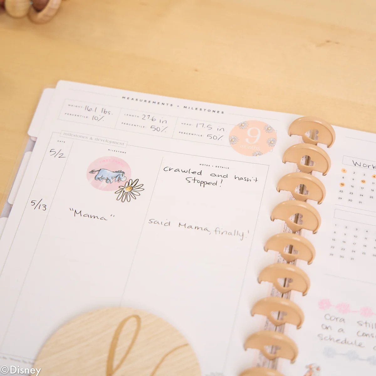 Undated Disney Winnie the Pooh Customizable Baby Planner - Classic Baby's First Year Layout - 12 Months - Image 11