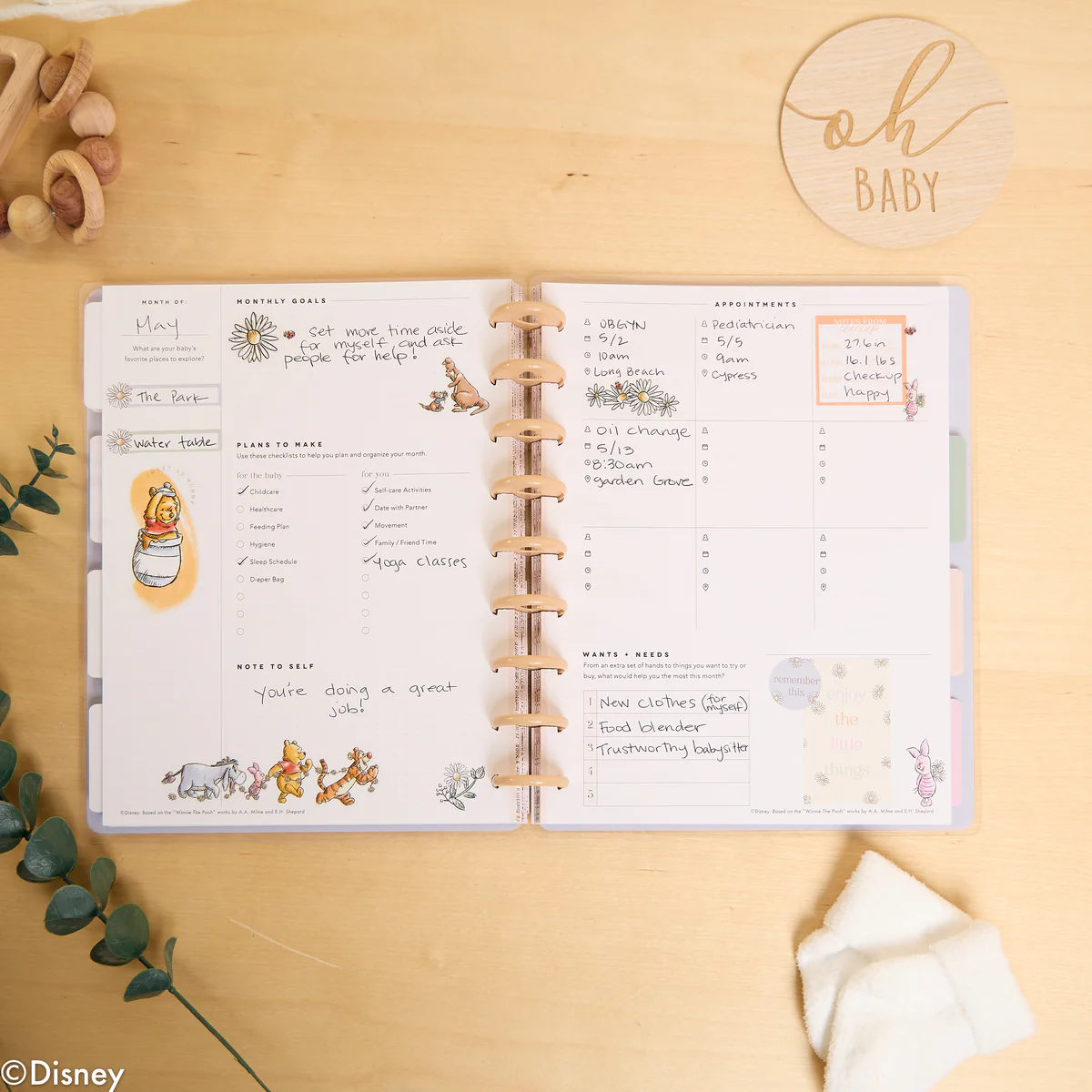 Undated Disney Winnie the Pooh Customizable Baby Planner - Classic Baby's First Year Layout - 12 Months - Image 7