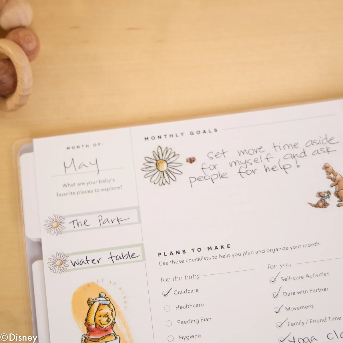 Undated Disney Winnie the Pooh Customizable Baby Planner - Classic Baby's First Year Layout - 12 Months - Image 8