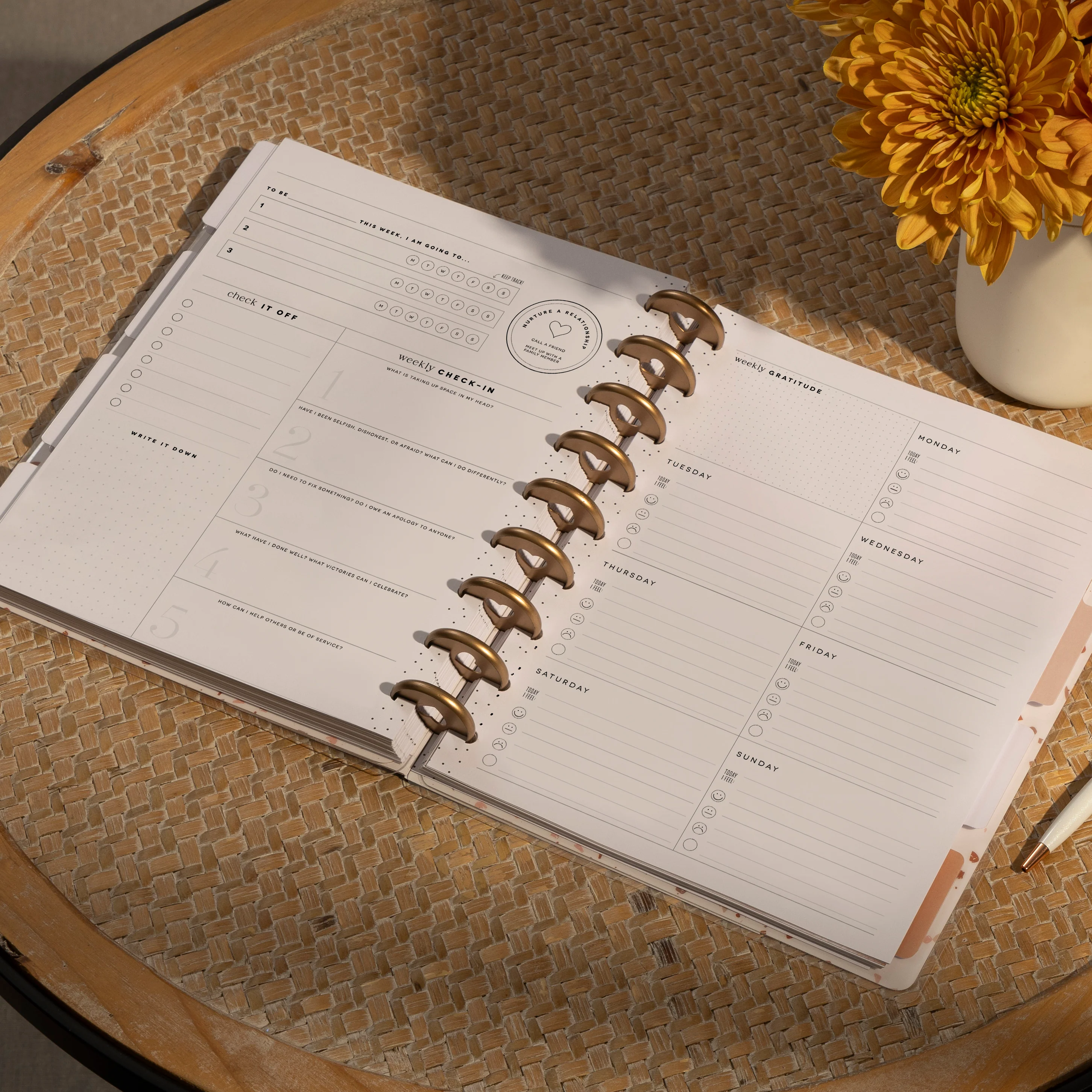 Undated Sand & Stone Customizable Recovery Planner - Classic Recovery Layout - 12 Months - Image 2